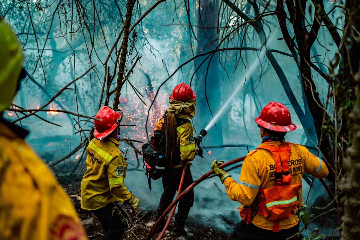 Sierra de los Padres: controlaron el incendio forestal pero sigue el operativo