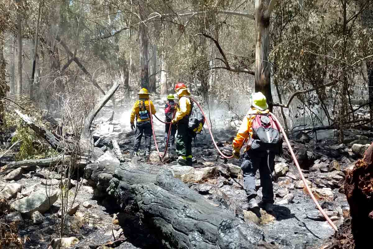 Bomberos combaten un incendio forestal de diez hectáreas en Sierra de los Padres