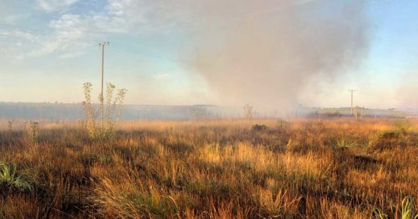 Combaten otro incendio de pastizales en el sur de Mar del Plata