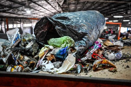 Críticas y pedido de informes sobre la política de separación de residuos en origen