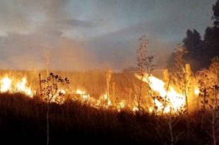 Después de siete horas, sofocaron un amplio incendio de pastizales de 30 hectáreas