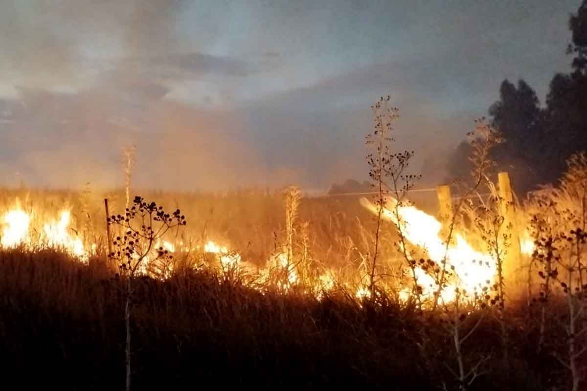 Después de siete horas, sofocaron un amplio incendio de pastizales de 30 hectáreas