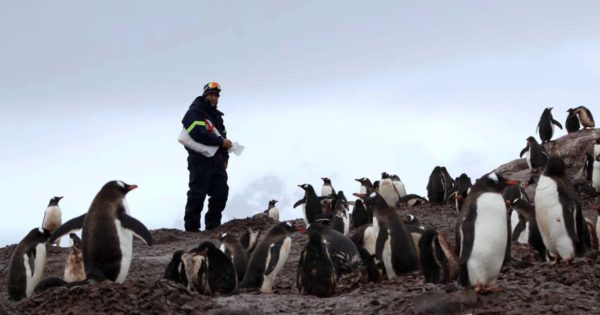 Soberanía nacional y científica en la Antártida: un relato en primera persona