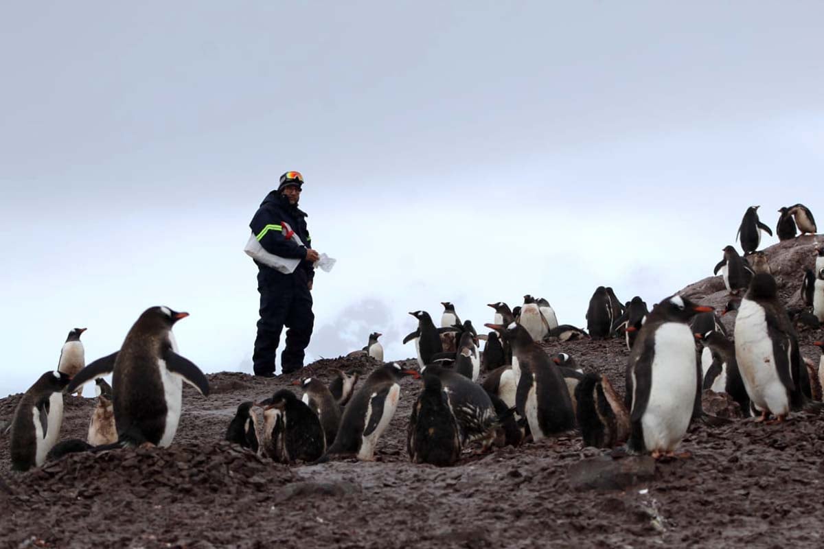 Soberanía nacional y científica en la Antártida: un relato en primera persona