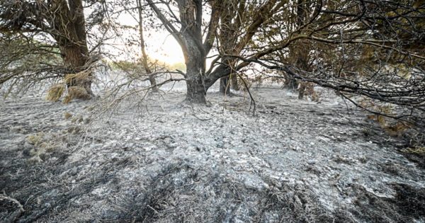 Tras diez horas de trabajo, extinguieron el incendio forestal de Laguna de los Padres