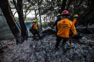 Combatieron un amplio incendio forestal en la Laguna de los Padres