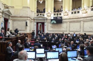 El Senado votó en contra del “decretazo” de Javier Milei