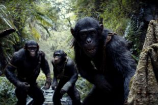 “El planeta de los simios: nuevo reino” y “Hachiko 2” se estrenan en Mar del Plata