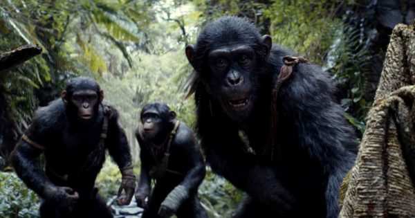 “El planeta de los simios: nuevo reino” y “Hachiko 2” se estrenan en Mar del Plata